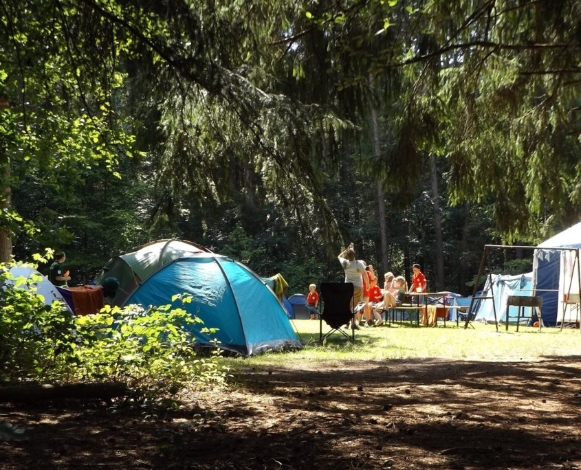 camp, forest, summer, vacation, group, wilderness, camping, family, summer holidays, outdoor, adventure, campground, waldheim, schleswig-holstein, mittelholstein, youth hostel, youth tent site, children, igloo, igluzelt, nature, leisure time, grilling, grill appliance, pavilion, trees, camping, camping, camping, camping, camping